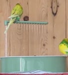 Sehr schönes Vogelbad 