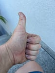 Alles in Ordnung