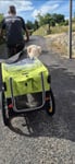 Remorque vtt pour chien de grande taille