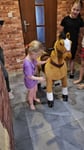 Konik