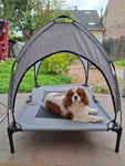 Der Hund mag es, Frauchen ist eher unzufrieden