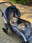 Super Hundewagen