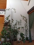 Auch Indoor geeignet 