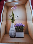 Schöne Wandbilder mit Knick