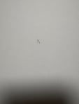 Free Waschmaschinenschrank Type 733/715