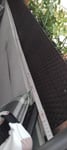 Ohne Titel