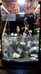 Wie erwartet, ein tolles Nano Aquarium…