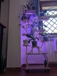 Mobiletto per orchidee 