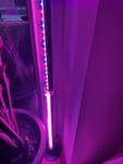 Ich bin mit den Lampen und der Lieferung sehr zufrieden