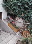 Sehr viel stabiler als erwartet!
