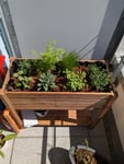 Hochbeet 