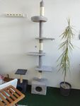 Kratzbaum 
