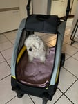 Perfekter Wagen für meinen Hund 