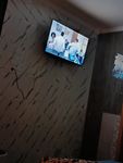 Fernseher 