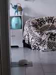 Friggitrice ad aria