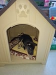Das Haus ist Wetterfest,steht auf meinem Balkon. Ursprünglich wollte ich das Haus fürden Flomarkt haben ,damit mein Hund trocken bleibt ,wenn es regnet.Aber ich kann es nicht tranzportieren auf meinem Rollator. Es ist zu groß.