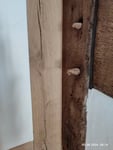 Gut,um Fachwerk ab zu dichten.
