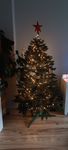 Schöne Baum 