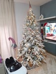 Wunderschöner Baum!