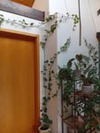 Auch Indoor geeignet 
