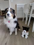 Super peluche de bonne qualité