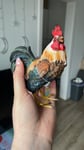 Super schön 