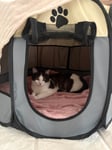 Schnelle Lieferung, gute Qualität und perfekt für meine Katzen 