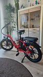 Das perfekte E bike.