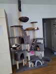 Unsere Katzen lieben ihn!