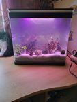 Super schönes Aquarium und leichte Installation 