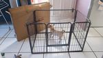 Parc a chiots