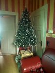 Weihnachtsbaum 