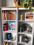 Sehr schönes Bücherregal 