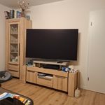Sauberes bild