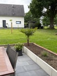 Wirklich XXL Planzen 