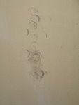 Wenn es möglich wäre, würde ich 0 Sterne vergeben.
