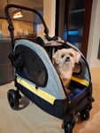 Super Hundekutsche