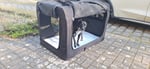 Großartige Transportbox für Hunde