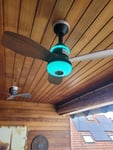 Schöner Ventilator