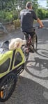 Remorque vtt pour chien de grande taille