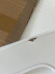 3 Wochen drauf gewartet und dann ein Mangelexemplar erhalten 