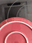 Bringt Farbe auf den Tisch