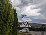 Fahnenstange mit Fahne 