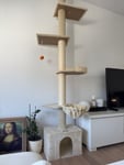 Lieblingsplatz unserer Katze