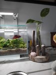 La contenance ne correspond pas à l article ! Signalé 6l8 et 5 litres rentrent à peine 