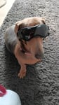 Super Brille