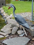Zum Schutz der Goldfische 