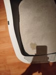 Katzen Toilette 