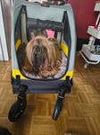 Schöner kleiner Hundewagen 