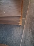 Unter aller Sau